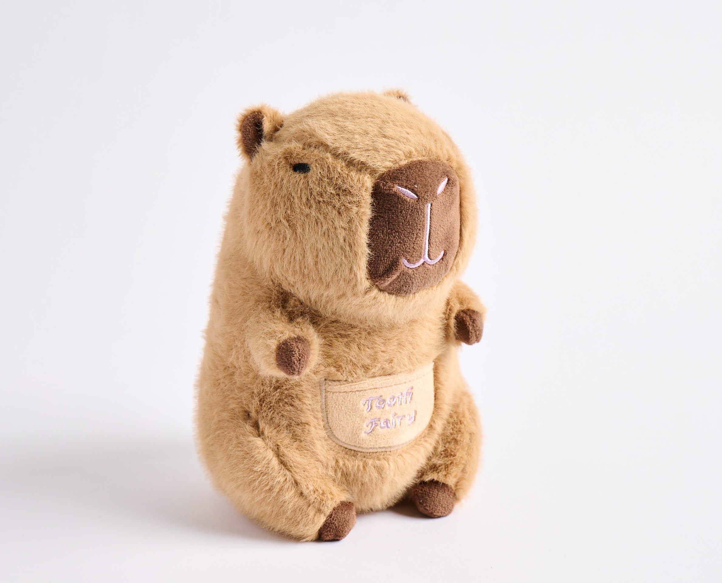 Barry the Capybara Tooth Fairy