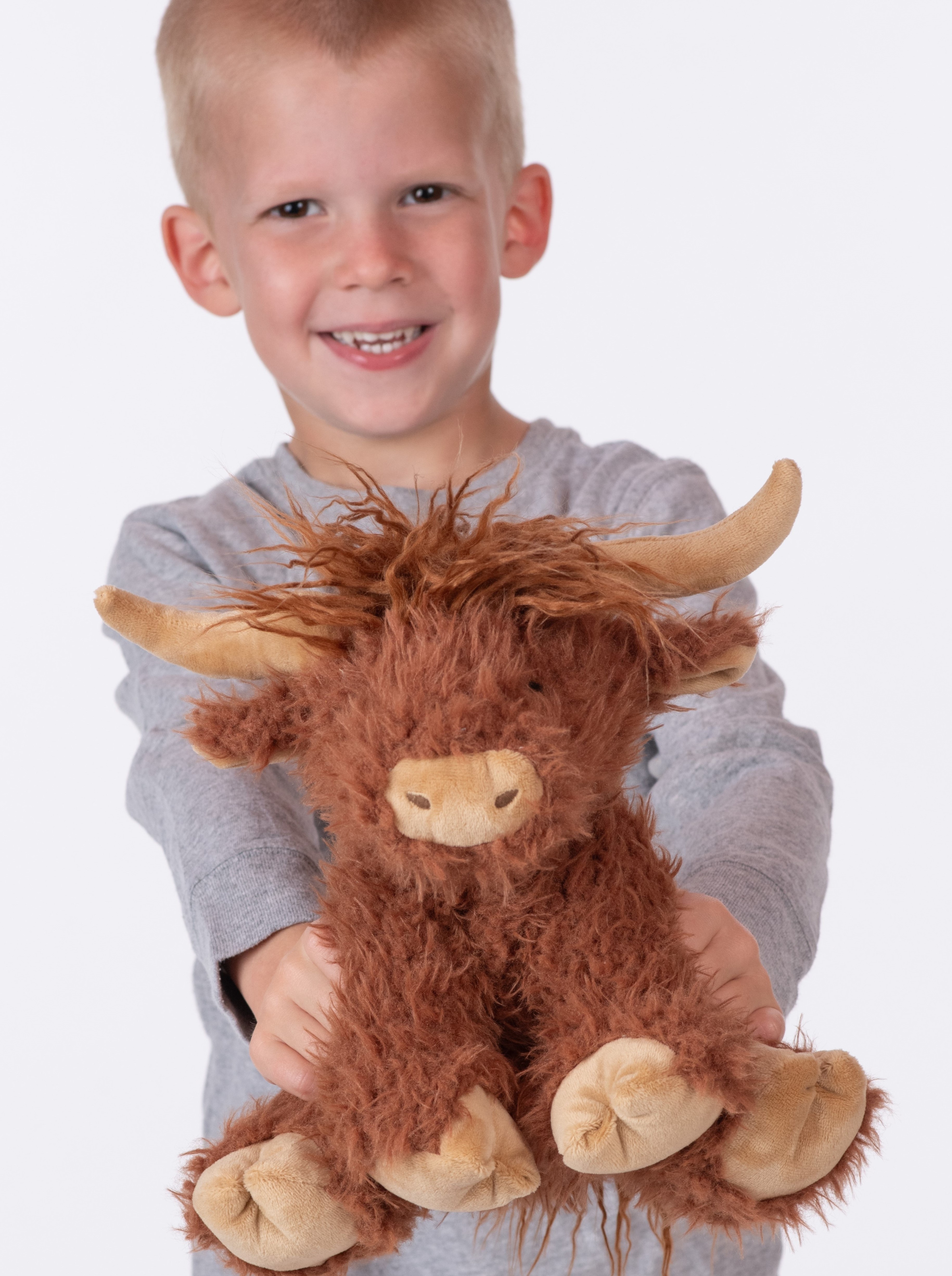 Hamish the Highland Cow