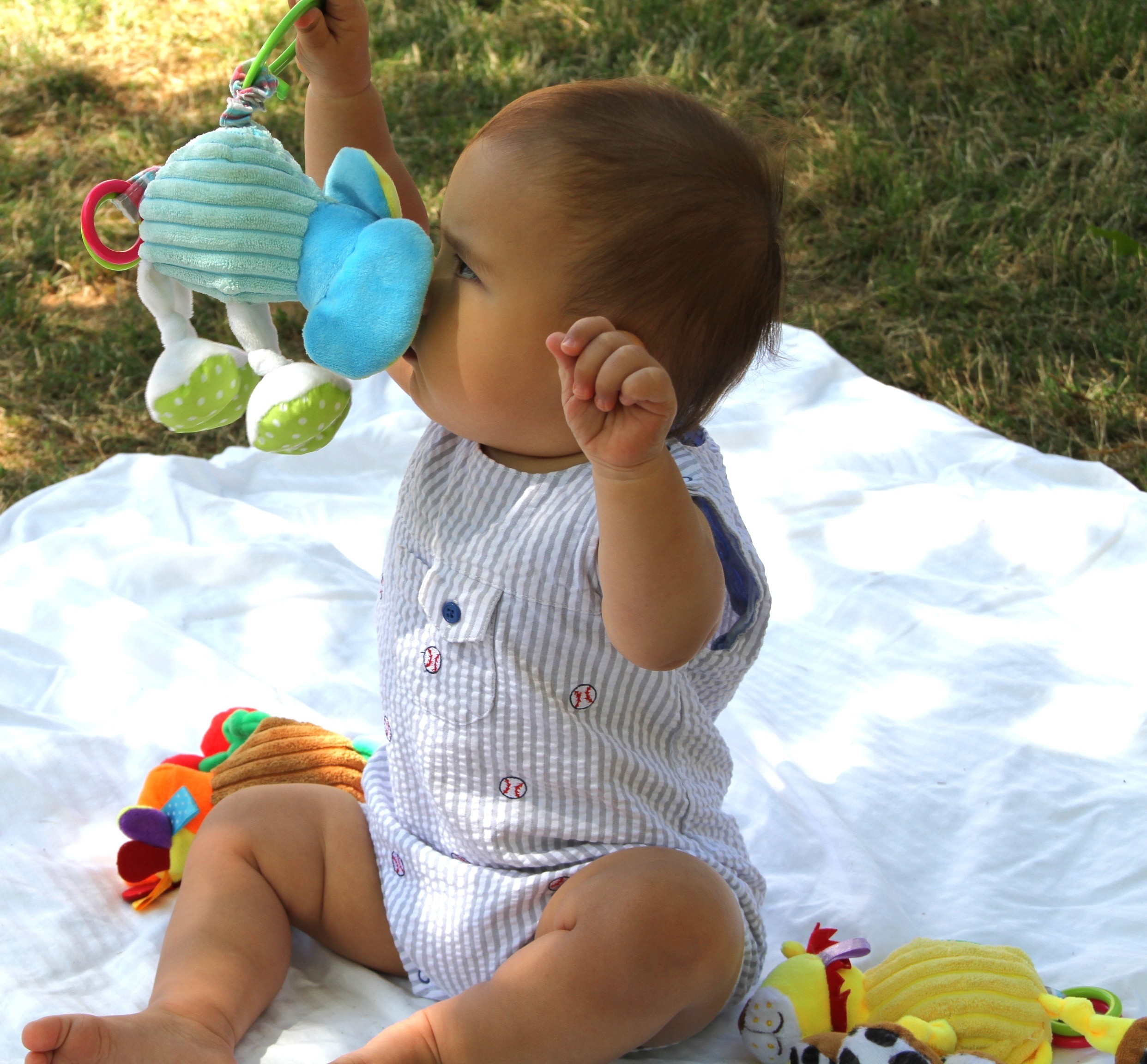 Jiggly Giggly Toy Assortment