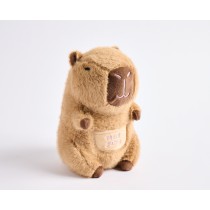 Barry the Capybara Tooth Fairy