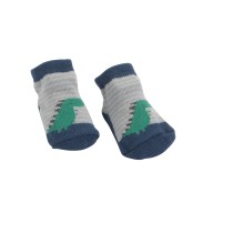Dinosaur Socks