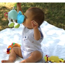 Jiggly Giggly Toy Assortment