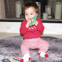 Christmas Silicone Teether Assortment