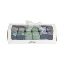 Dinosaurs Socks Gift Set